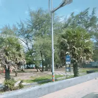 Phuket Smart Busの写真・動画_image_270972
