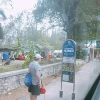 Phuket Smart Busの写真・動画_image_270974