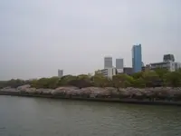 毛馬桜之宮公園の写真・動画_image_27102