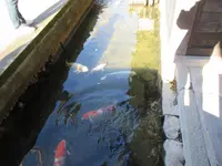 津和野城跡の写真・動画_image_271194
