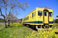 総元駅の写真・動画_image_271380