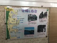 足摺海底館の写真・動画_image_271699