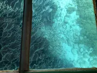 足摺海底館の写真・動画_image_271701