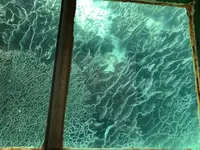 足摺海底館の写真・動画_image_271702