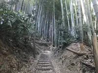 田浦梅の里の写真・動画_image_271926
