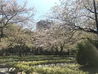 ヴェルニー公園の写真・動画_image_271943