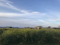 長井海の手公園ソレイユの丘の写真・動画_image_271957