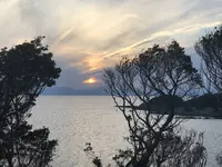 長井海の手公園ソレイユの丘の写真・動画_image_271961