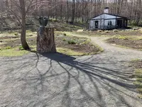 風のガーデンの写真・動画_image_272535