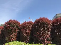 地蔵王廟の写真・動画_image_272561