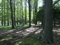 地蔵王廟の写真・動画_image_272568