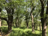 地蔵王廟の写真・動画_image_272570