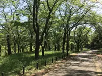 地蔵王廟の写真・動画_image_272574