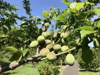 地蔵王廟の写真・動画_image_272578