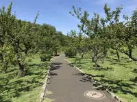 地蔵王廟の写真・動画_image_272581