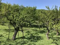 地蔵王廟の写真・動画_image_272582