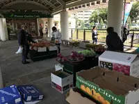 地蔵王廟の写真・動画_image_272587