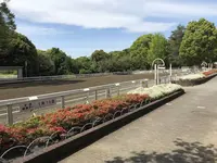 地蔵王廟の写真・動画_image_272612