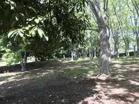 地蔵王廟の写真・動画_image_272622