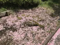 地蔵王廟の写真・動画_image_272624