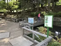 地蔵王廟の写真・動画_image_272629