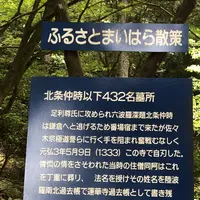 蓮華寺の写真・動画_image_272660