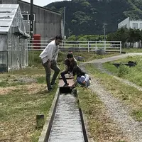 玉城ふれあい農園の写真・動画_image_272716