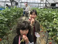 玉城ふれあい農園の写真・動画_image_272718