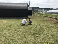 玉城ふれあい農園の写真・動画_image_272719