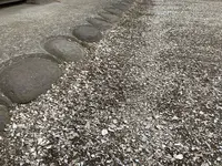 旧大塚家住宅の写真・動画_image_272961