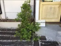 ルスルス 東麻布店の写真・動画_image_272968