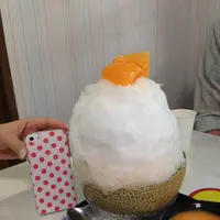 株式会社 茶の木村園の写真・動画_image_273612