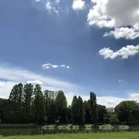 洞峰公園の写真・動画_image_273615