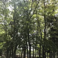 洞峰公園の写真・動画_image_273617