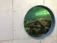 魚津埋没林博物館の写真・動画_image_273743