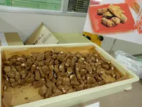 桔梗信玄餅工場テーマパークの写真・動画_image_273893