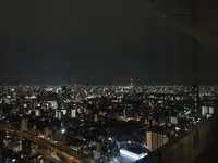 アートホテル大阪ベイタワーの写真・動画_image_273901