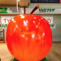 弘前駅の写真・動画_image_273970