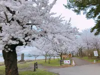 鶴の舞橋の写真・動画_image_273987