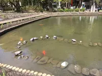伊佐須美神社の写真・動画_image_274000