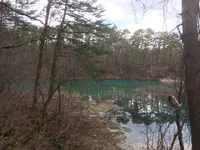 五色沼の写真・動画_image_274178