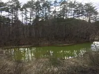 五色沼の写真・動画_image_274179