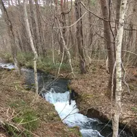 五色沼の写真・動画_image_274180