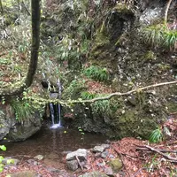 霊山の写真・動画_image_274201
