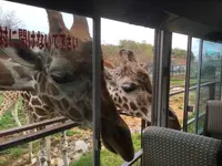 東北サファリパークの写真・動画_image_274229