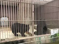 東北サファリパークの写真・動画_image_274230