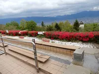 笛吹川フルーツ公園・フルーツセンターの写真・動画_image_274314