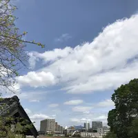 coxの写真・動画_image_274446