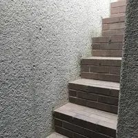 coxの写真・動画_image_274451