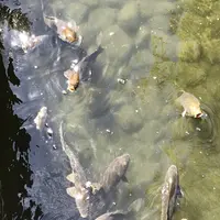 徳川園の写真・動画_image_274605